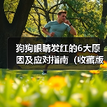 狗狗眼睛发红的6大原因及应对指南(收藏版)(图1) 狗狗眼睛发红的6大原因及应对指南(收藏版)(图1)