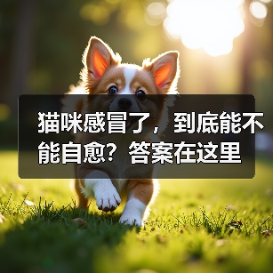 猫咪感冒了，到底能不能自愈？答案在这里（图1）