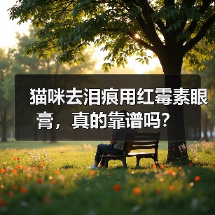 猫咪去泪痕用红霉素眼膏，真的靠谱吗？（图3）