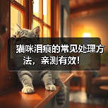 猫咪泪痕的常见处理方法，亲测有效！（图3）