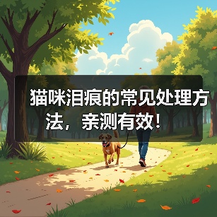 猫咪泪痕的常见处理方法，亲测有效！（图1）