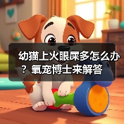 幼猫上火眼屎多怎么办?氧宠博士来解答(图4) 幼猫上火眼屎多怎么办?氧宠博士来解答(图4)