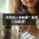 老狗狗一直咳嗽?警惕心肺疾病!(图4) 老狗狗一直咳嗽?警惕心肺疾病!(图4)
