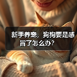 新手养宠，狗狗要是感冒了怎么办？（图3）