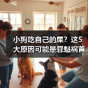 小狗吃自己的屎?这5大原因可能是罪魁祸首(图4) 小狗吃自己的屎?这5大原因可能是罪魁祸首(图4)