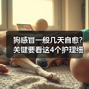 狗感冒一般几天自愈?关键要看这4个护理细节(图3) 狗感冒一般几天自愈?关键要看这4个护理细节(图3)