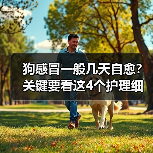 狗感冒一般几天自愈?关键要看这4个护理细节(图4) 狗感冒一般几天自愈?关键要看这4个护理细节(图4)
