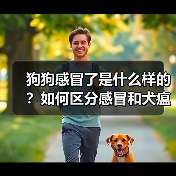 狗狗感冒了是什么样的?如何区分感冒和犬瘟热?(图4) 狗狗感冒了是什么样的?如何区分感冒和犬瘟热?(图4)