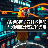 狗狗感冒了是什么样的?如何区分感冒和犬瘟热?(图3) 狗狗感冒了是什么样的?如何区分感冒和犬瘟热?(图3)