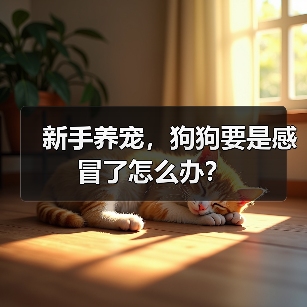 新手养宠，狗狗要是感冒了怎么办？（图1）