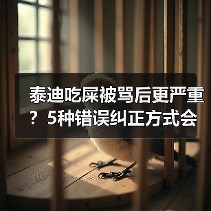 泰迪吃屎被骂后更严重？5种错误纠正方式会加重行为（图3）