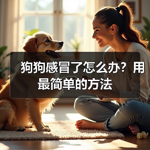狗狗感冒了怎么办?用最简单的方法(图1) 狗狗感冒了怎么办?用最简单的方法(图1)