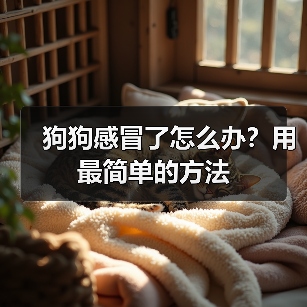 狗狗感冒了怎么办?用最简单的方法(图4) 狗狗感冒了怎么办?用最简单的方法(图4)