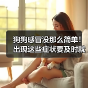 狗狗感冒没那么简单!出现这些症状要及时就医!(图3) 狗狗感冒没那么简单!出现这些症状要及时就医!(图3)