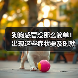 狗狗感冒没那么简单!出现这些症状要及时就医!(图2) 狗狗感冒没那么简单!出现这些症状要及时就医!(图2)
