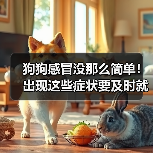 狗狗感冒没那么简单!出现这些症状要及时就医!(图1) 狗狗感冒没那么简单!出现这些症状要及时就医!(图1)