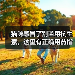 猫咪感冒了别滥用抗生素,这里有正确用药指南!(图2) 猫咪感冒了别滥用抗生素,这里有正确用药指南!(图2)
