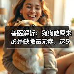 兽医解析:狗狗吃屎未必是缺微量元素,这5个原因需警惕(图2) 兽医解析:狗狗吃屎未必是缺微量元素,这5个原因需警惕(图2)
