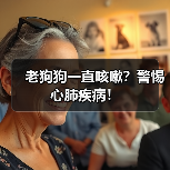 老狗狗一直咳嗽?警惕心肺疾病!(图3) 老狗狗一直咳嗽?警惕心肺疾病!(图3)