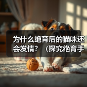 为什么绝育后的猫咪还会发情？（探究绝育手术后猫咪发情的原因）（图2）
