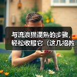与流浪猫混熟的步骤,轻松收服它(这几招教你成为流浪猫的朋友)(图3) 与流浪猫混熟的步骤,轻松收服它(这几招教你成为流浪猫的朋友)(图3)