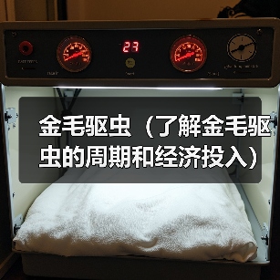 金毛驱虫（了解金毛驱虫的周期和经济投入）（图3）