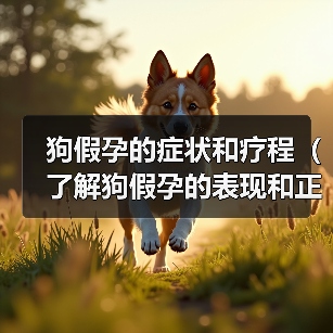 狗假孕的症状和疗程(了解狗假孕的表现和正确处理方式,帮助你的宠物恢复正常)(图1) 狗假孕的症状和疗程(了解狗假孕的表现和正确处理方式,帮助你的宠物恢复正常)(图1)