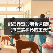 鹦鹉养殖的喂食保健砂(维生素和钙的重要性)(图4) 鹦鹉养殖的喂食保健砂(维生素和钙的重要性)(图4)