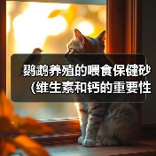 鹦鹉养殖的喂食保健砂(维生素和钙的重要性)(图1) 鹦鹉养殖的喂食保健砂(维生素和钙的重要性)(图1)