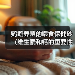 鹦鹉养殖的喂食保健砂(维生素和钙的重要性)(图2) 鹦鹉养殖的喂食保健砂(维生素和钙的重要性)(图2)