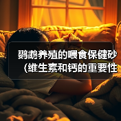 鹦鹉养殖的喂食保健砂(维生素和钙的重要性)(图3) 鹦鹉养殖的喂食保健砂(维生素和钙的重要性)(图3)