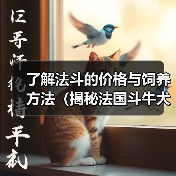 了解法斗的价格与饲养方法(揭秘法国斗牛犬的价格背后的因素与饲养技巧)(图1) 了解法斗的价格与饲养方法(揭秘法国斗牛犬的价格背后的因素与饲养技巧)(图1)