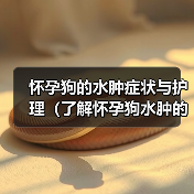怀孕狗的水肿症状与护理(了解怀孕狗水肿的表现和如何给予适当护理)(图3) 怀孕狗的水肿症状与护理(了解怀孕狗水肿的表现和如何给予适当护理)(图3)