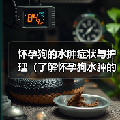 怀孕狗的水肿症状与护理(了解怀孕狗水肿的表现和如何给予适当护理)(图4) 怀孕狗的水肿症状与护理(了解怀孕狗水肿的表现和如何给予适当护理)(图4)