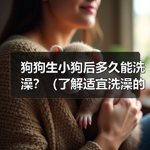 狗狗生小狗后多久能洗澡？（了解适宜洗澡的时间和方式，让你的小狗保持清洁健康）