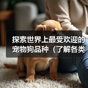 探索世界上最受欢迎的宠物狗品种(了解各类宠物狗品种的特点和魅力,选择你的理想伴侣)(图4) 探索世界上最受欢迎的宠物狗品种(了解各类宠物狗品种的特点和魅力,选择你的理想伴侣)(图4)