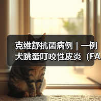 克维舒抗菌病例 | 一例犬跳蚤叮咬性皮炎（FAD）的病例分析