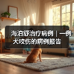 海泊舒治疗病例 | 一例犬咬伤的病例报告