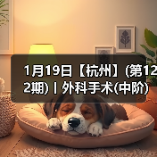 1月19日【杭州】(第122期)丨外科手术(中阶)实战班，2人/组提供一猫一狗，实操超多！（图3）