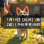 1月19日【杭州】(第122期)丨外科手术(中阶)实战班，2人/组提供一猫一狗，实操超多！（图4）
