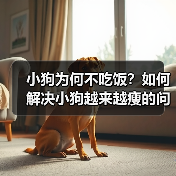 小狗为何不吃饭?如何解决小狗越来越瘦的问题(了解小狗不吃饭的原因及有效的应对方法)(图3) 小狗为何不吃饭?如何解决小狗越来越瘦的问题(了解小狗不吃饭的原因及有效的应对方法)(图3)