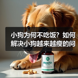 小狗为何不吃饭？如何解决小狗越来越瘦的问题（了解小狗不吃饭的原因及有效的应对方法）