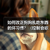 如何改正狗狗乱吃东西的坏习惯？（控制食欲培养良好的饮食习惯）（图3）