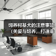 饲养柯基犬的注意事项(关爱与培养,打造幸福的柯基生活)(图3) 饲养柯基犬的注意事项(关爱与培养,打造幸福的柯基生活)(图3)