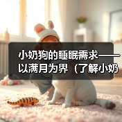 小奶狗的睡眠需求——以满月为界(了解小奶狗满月后的睡眠时长和注意事项)(图4) 小奶狗的睡眠需求——以满月为界(了解小奶狗满月后的睡眠时长和注意事项)(图4)