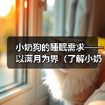 小奶狗的睡眠需求——以满月为界(了解小奶狗满月后的睡眠时长和注意事项)(图2) 小奶狗的睡眠需求——以满月为界(了解小奶狗满月后的睡眠时长和注意事项)(图2)