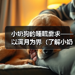 小奶狗的睡眠需求——以满月为界(了解小奶狗满月后的睡眠时长和注意事项)(图3) 小奶狗的睡眠需求——以满月为界(了解小奶狗满月后的睡眠时长和注意事项)(图3)