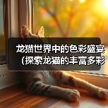 龙猫世界中的色彩盛宴（探索龙猫的丰富多彩之旅）