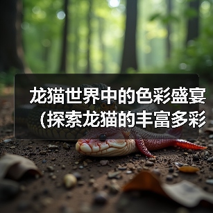 龙猫世界中的色彩盛宴（探索龙猫的丰富多彩之旅）（图4）