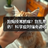 狗狗经常抓痒?别乱用药!科学应对指南请收好(图2) 狗狗经常抓痒?别乱用药!科学应对指南请收好(图2)